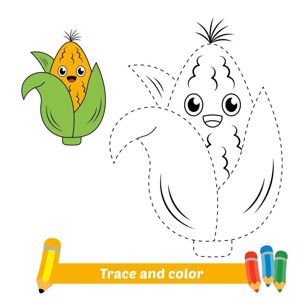 Çizgi Çalışmaları