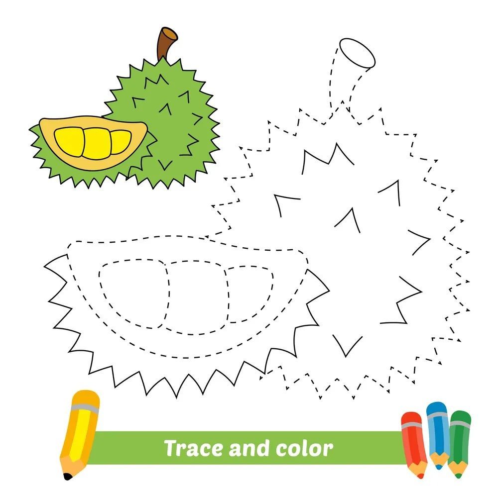 Çizgi Çalışmaları