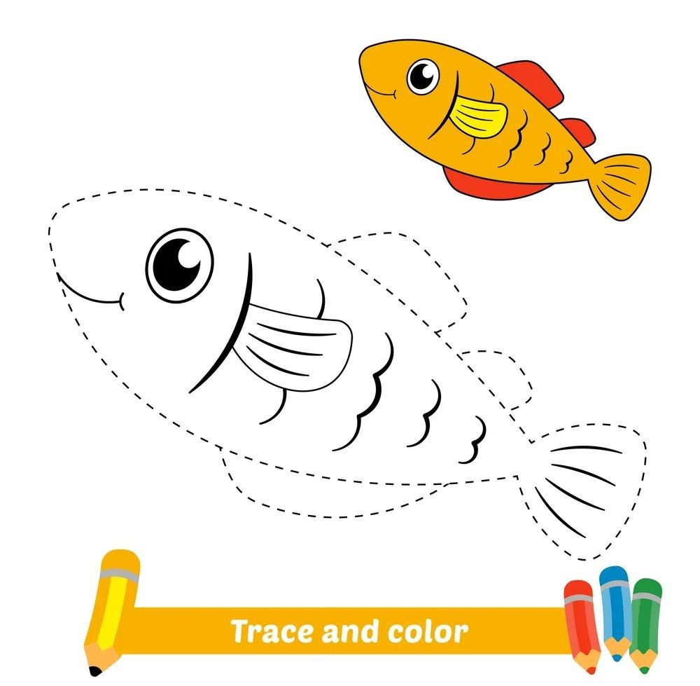 Çizgi Çalışmaları