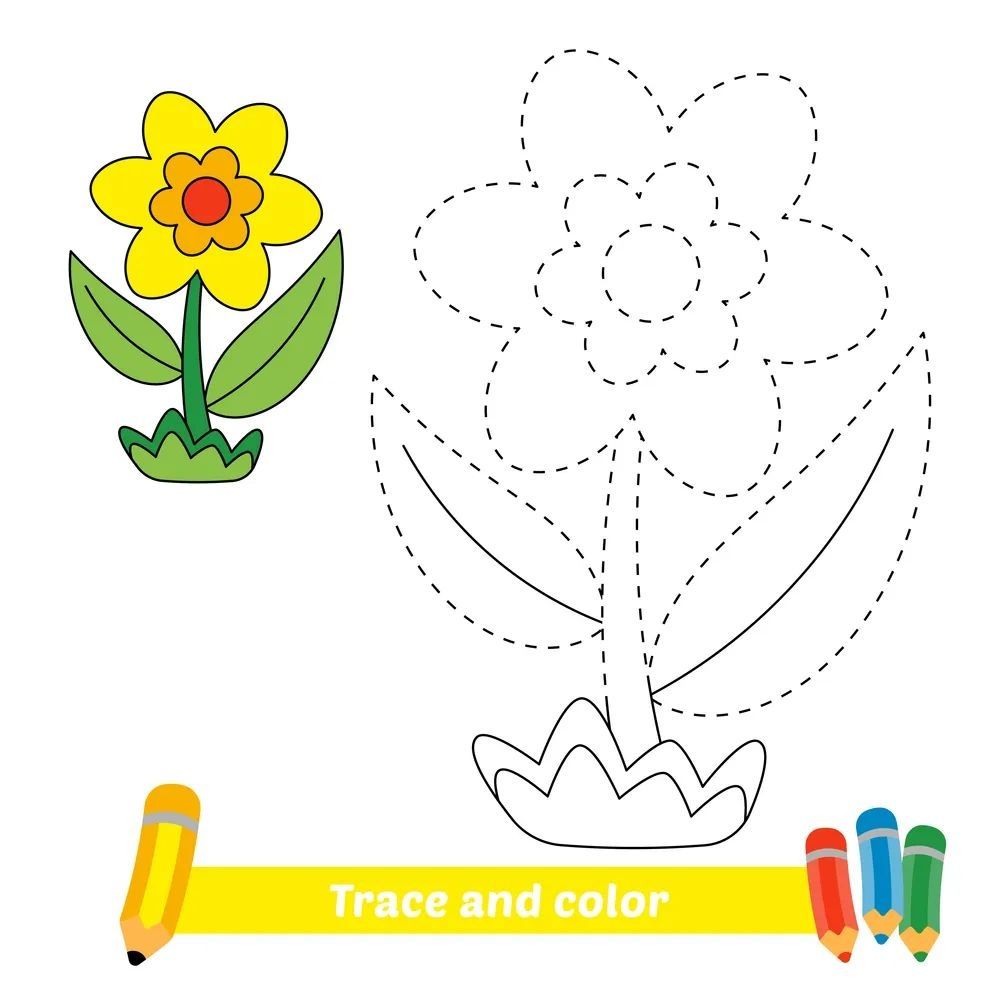 Çizgi Çalışmaları