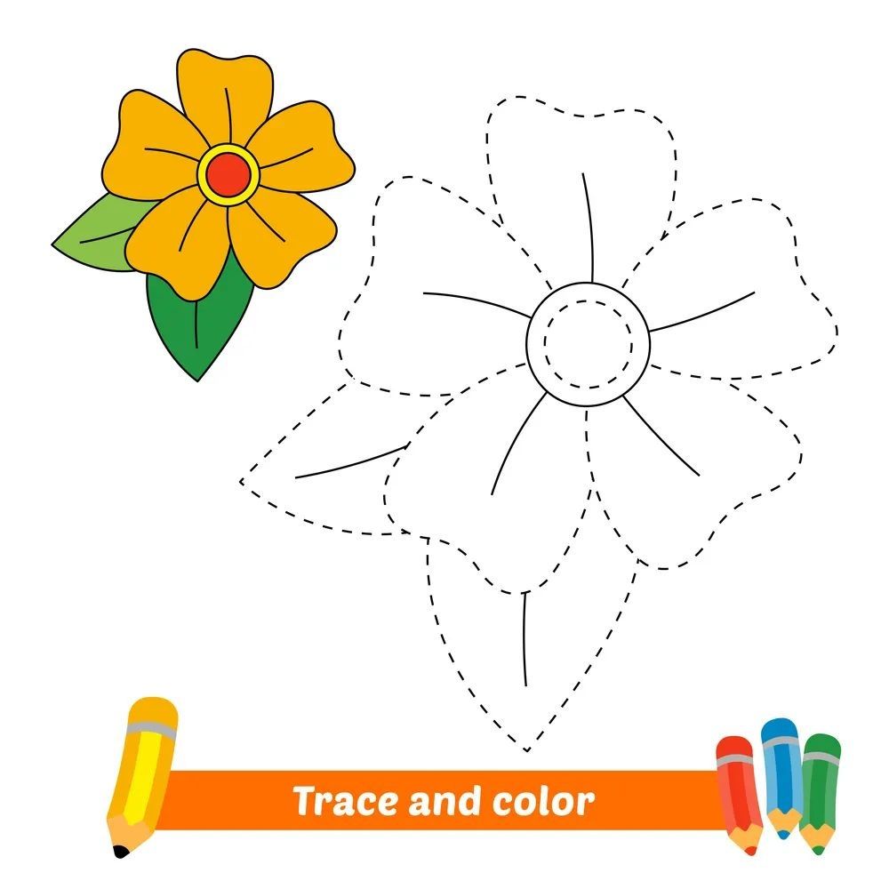 Çizgi Çalışmaları