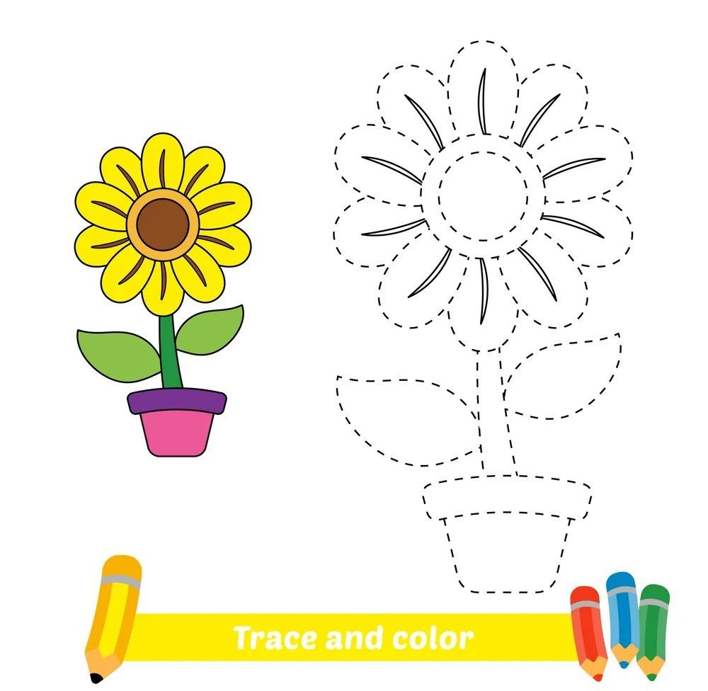 Çizgi Çalışmaları