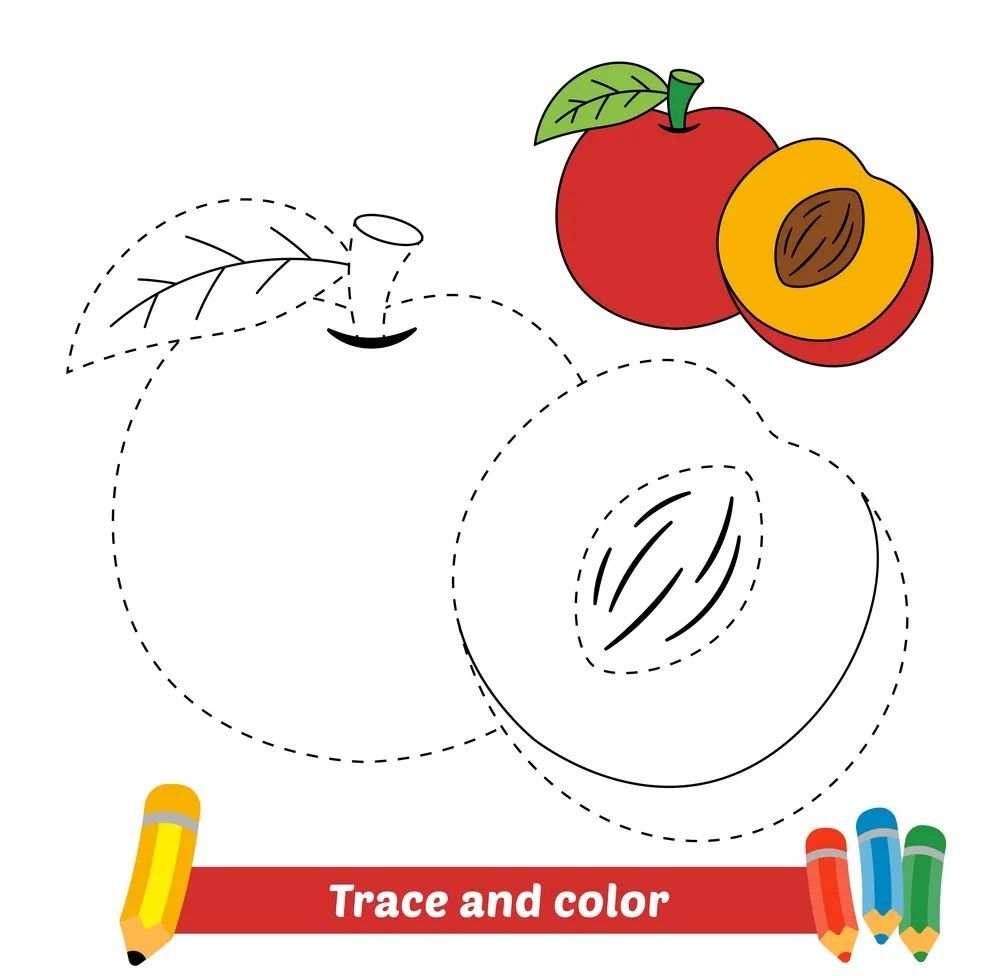 Çizgi Çalışmaları