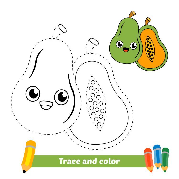 Çizgi Çalışmaları