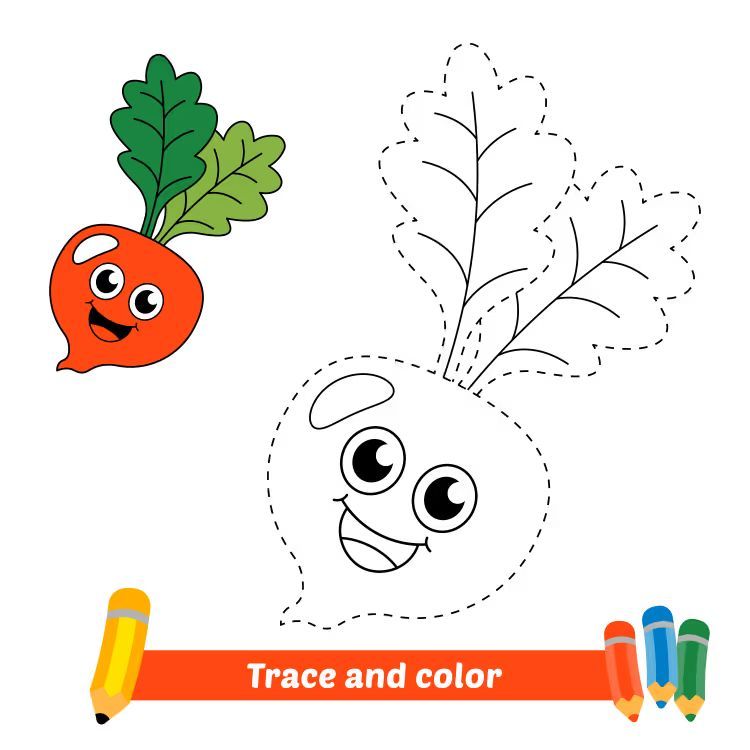 Çizgi Çalışmaları