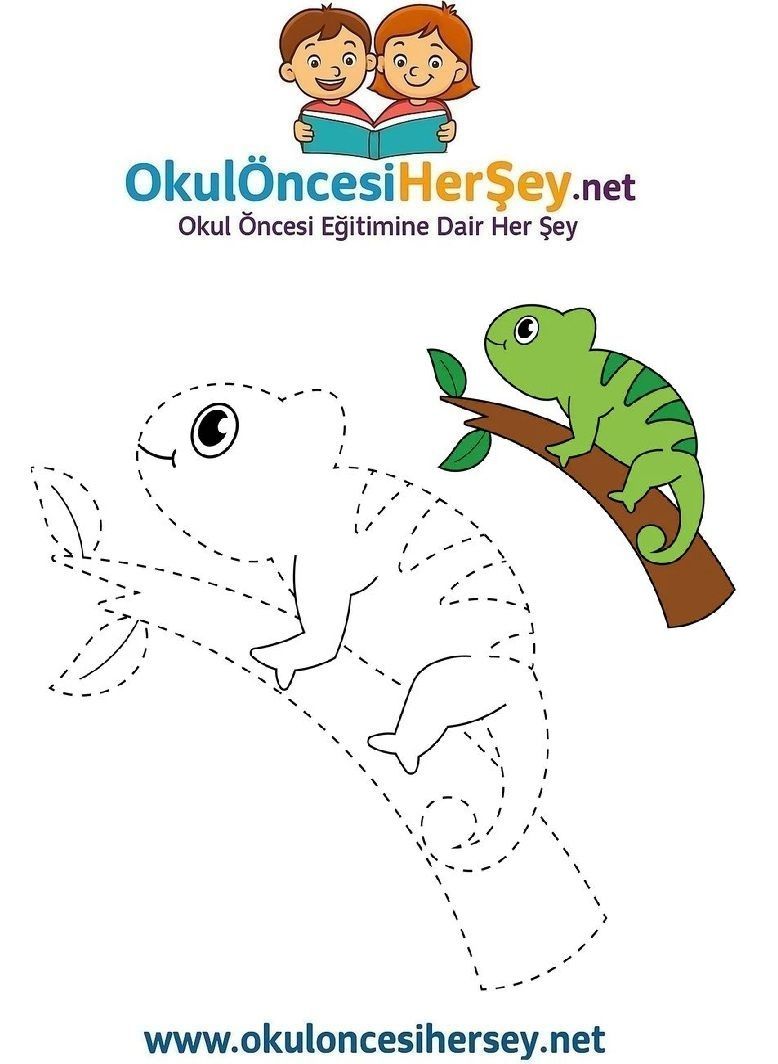 Çizgi Çalışmaları