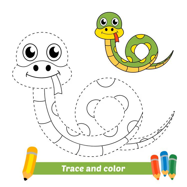 Çizgi Çalışmaları