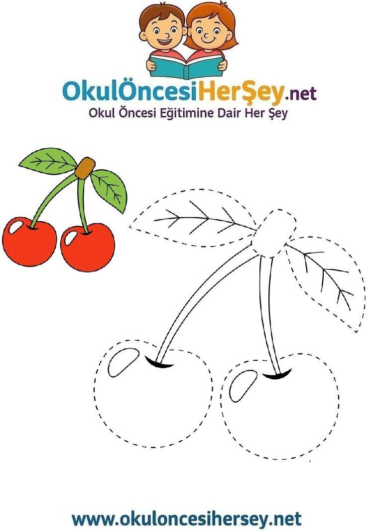 Çizgi Çalışmaları