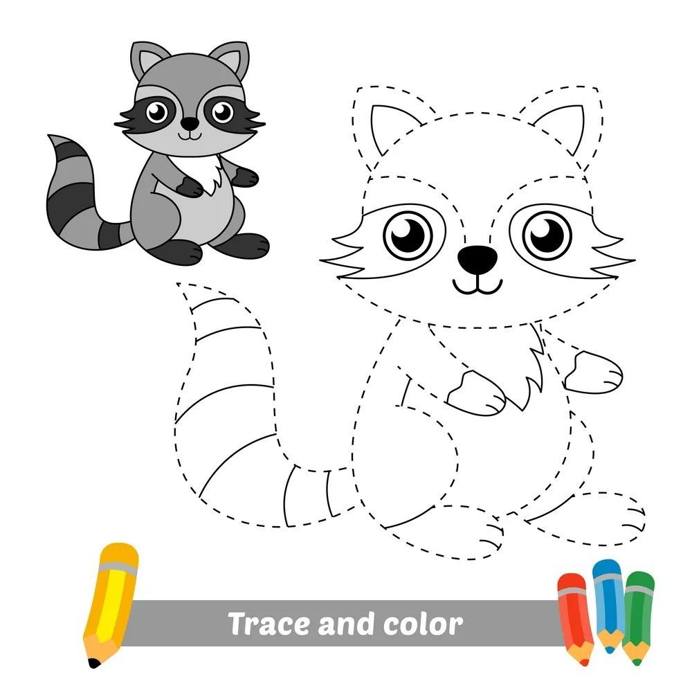 Çizgi Çalışmaları