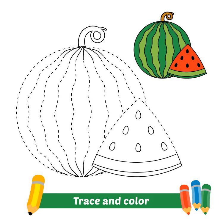 Çizgi Çalışmaları