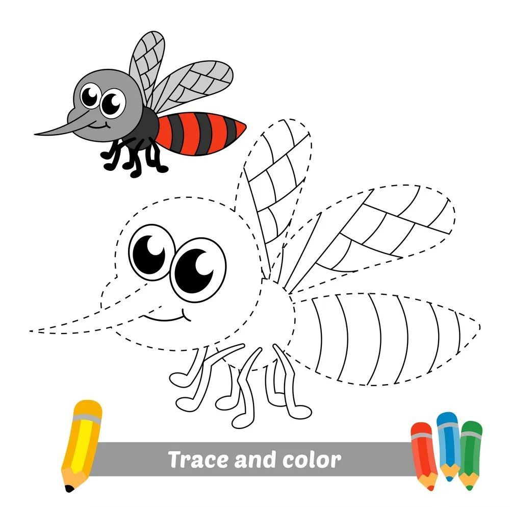 Çizgi Çalışmaları