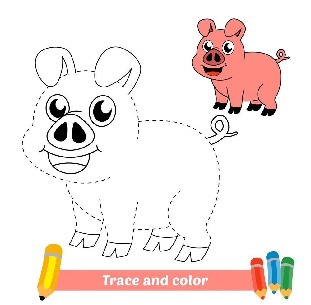 Çizgi Çalışmaları