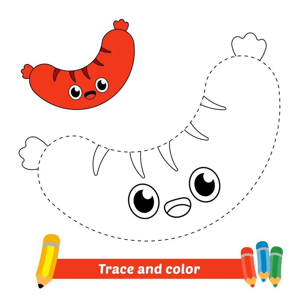 Çizgi Çalışmaları