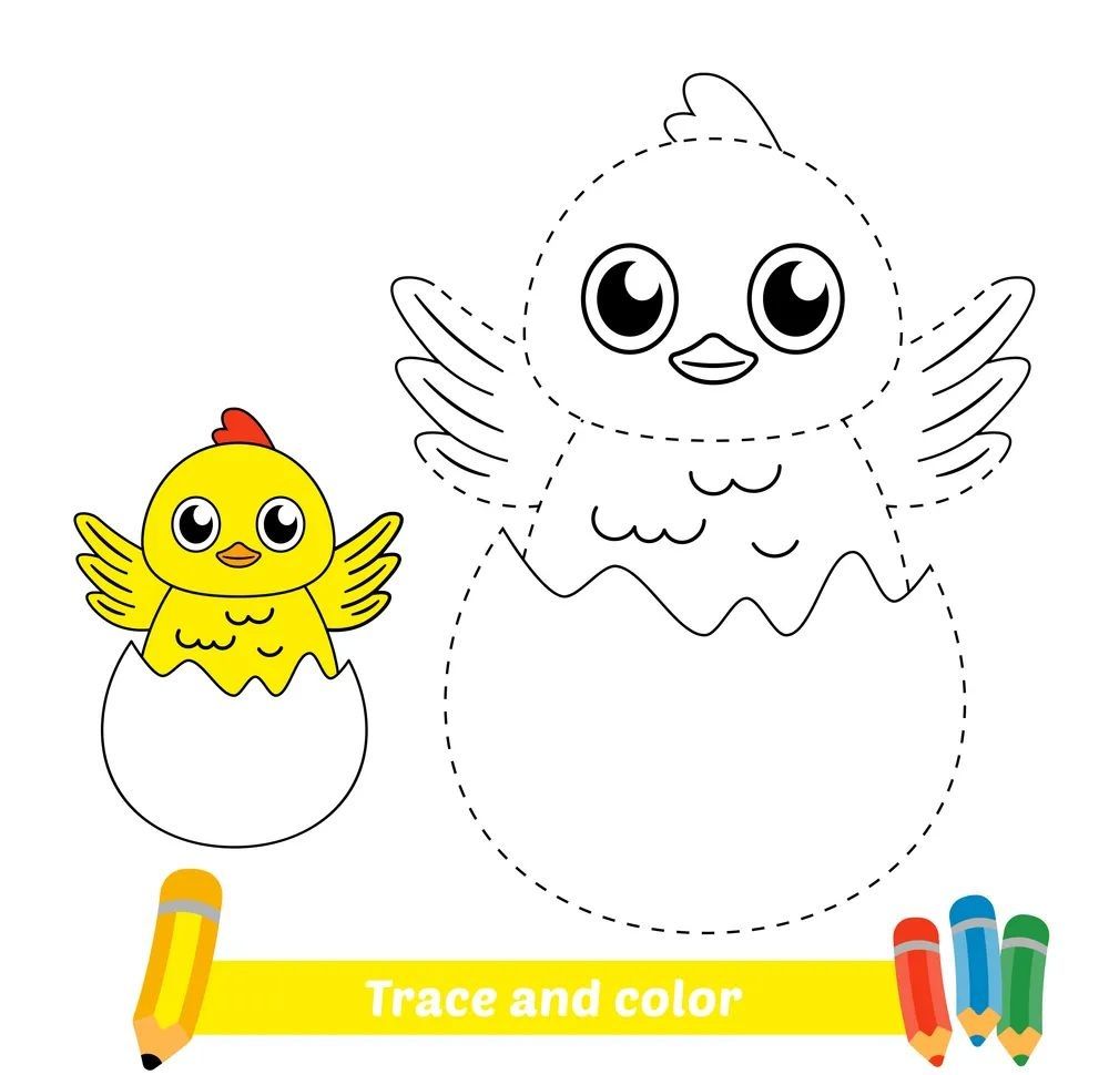 Çizgi Çalışmaları