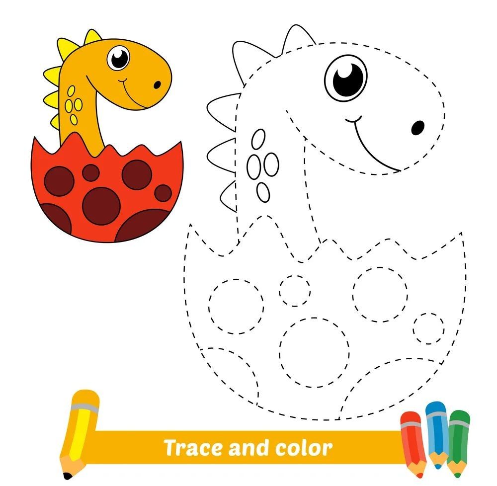 Çizgi Çalışmaları