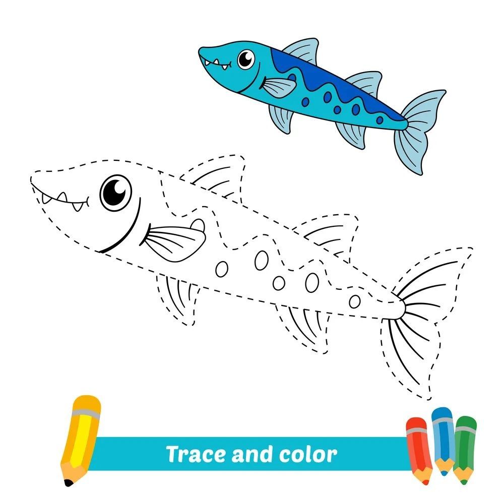 Çizgi Çalışmaları