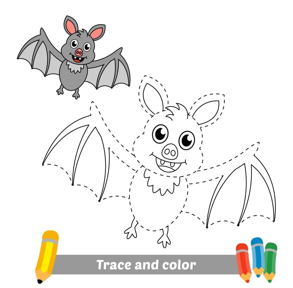 Çizgi Çalışmaları