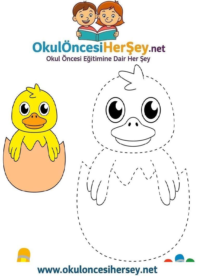 Çizgi Çalışmaları