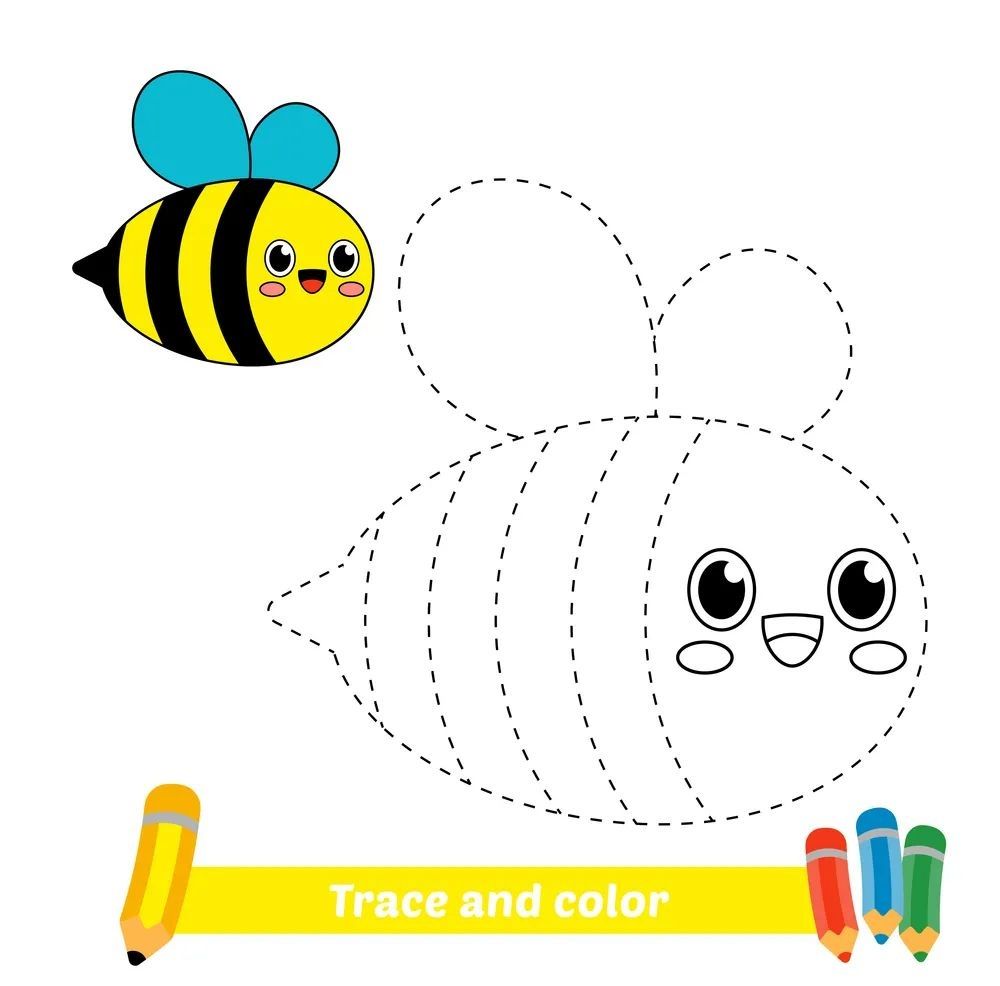 Çizgi Çalışmaları