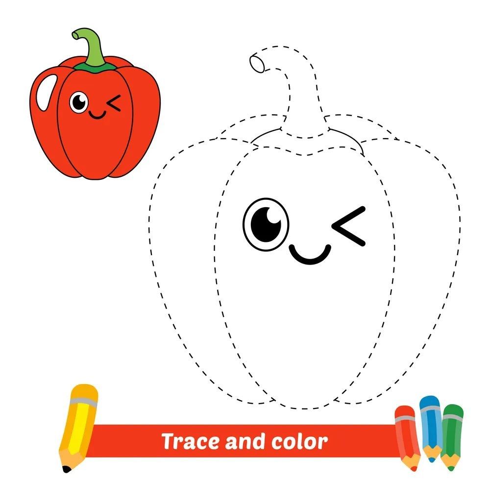 Çizgi Çalışmaları