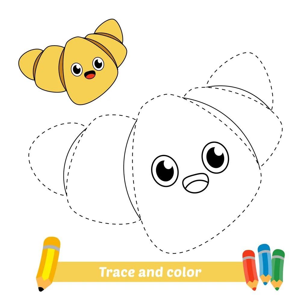 Çizgi Çalışmaları