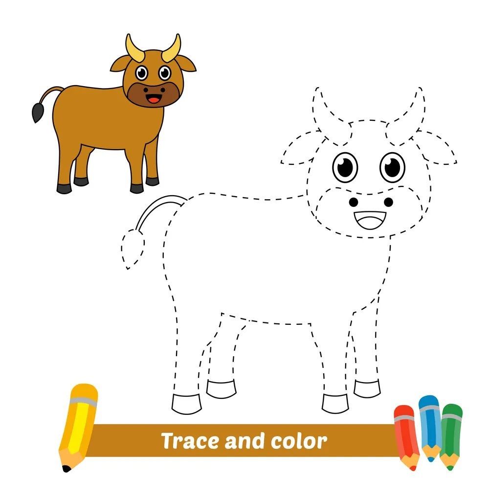 Çizgi Çalışmaları