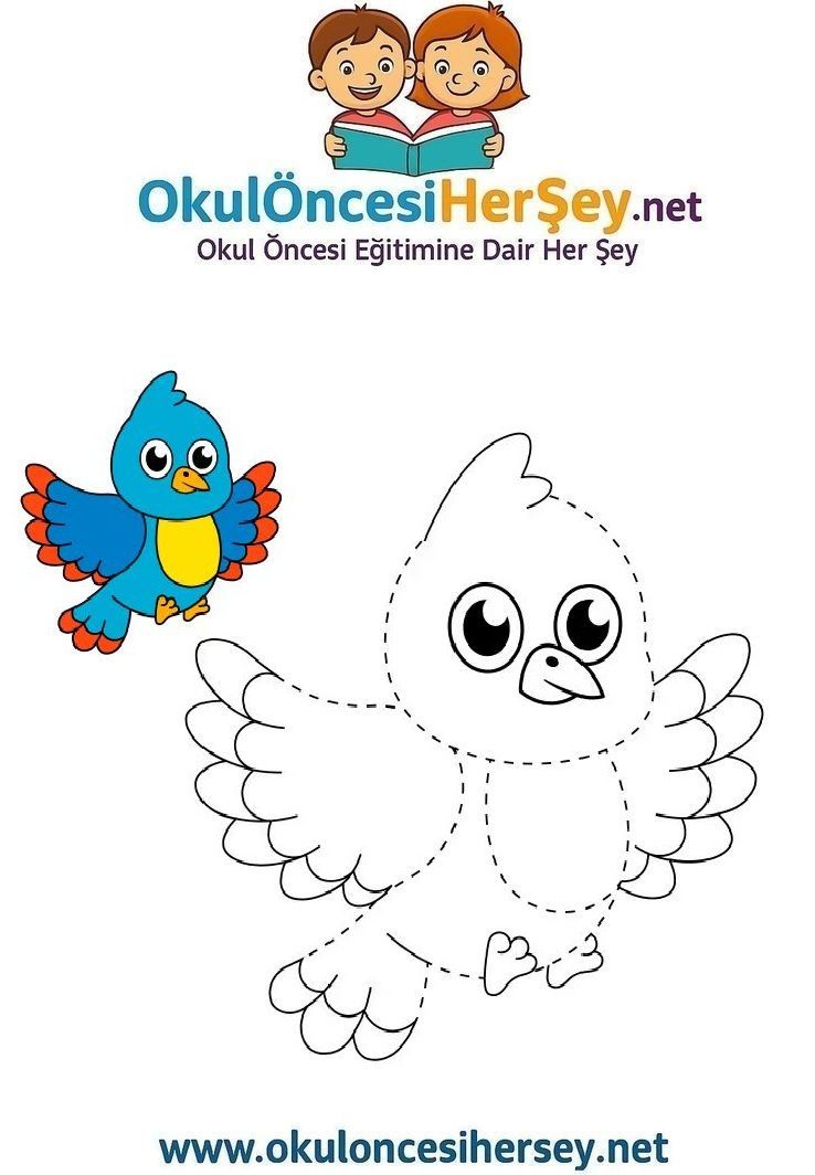 Çizgi Çalışmaları