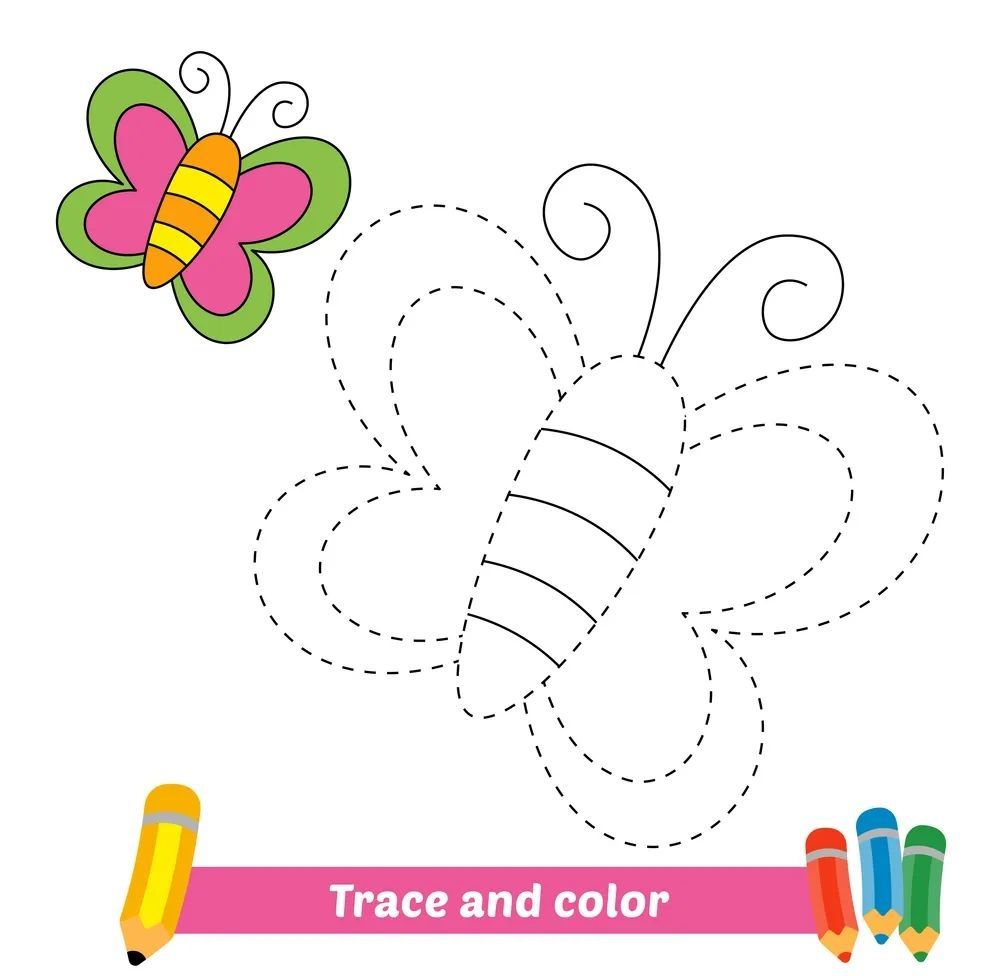 Çizgi Çalışmaları