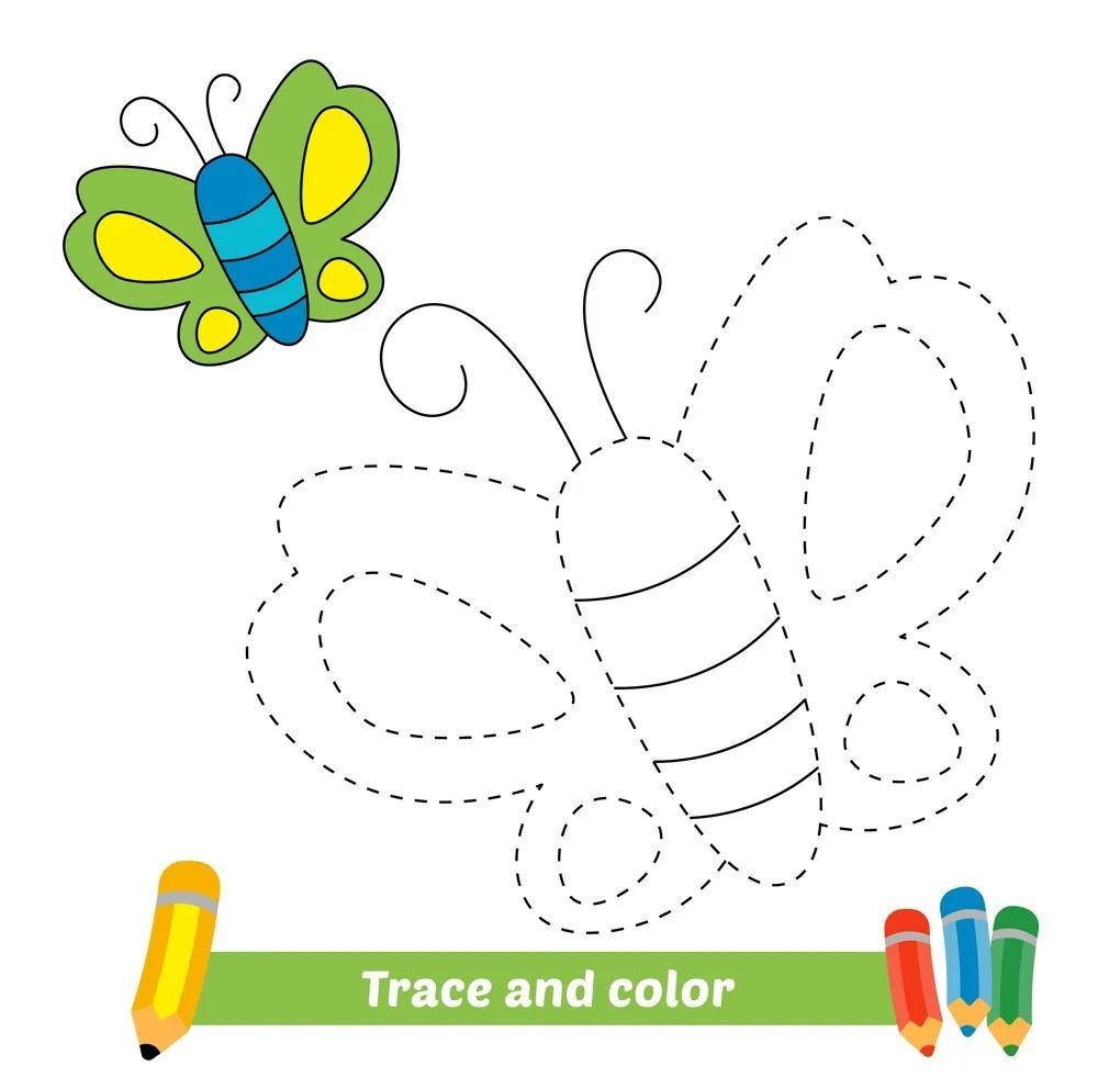 Çizgi Çalışmaları