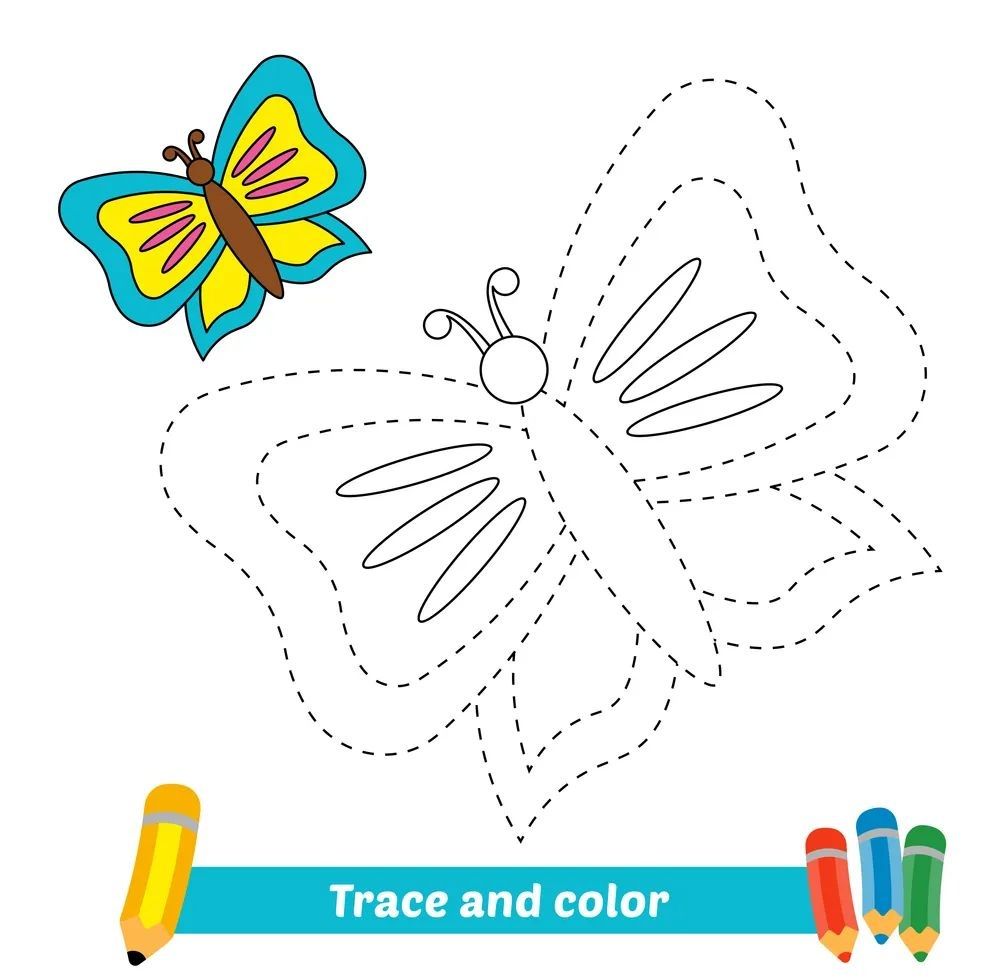 Çizgi Çalışmaları