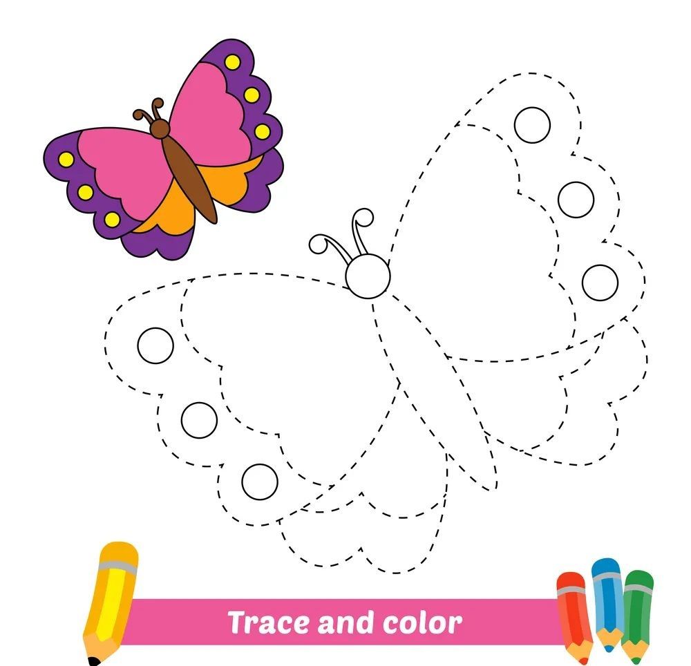 Çizgi Çalışmaları