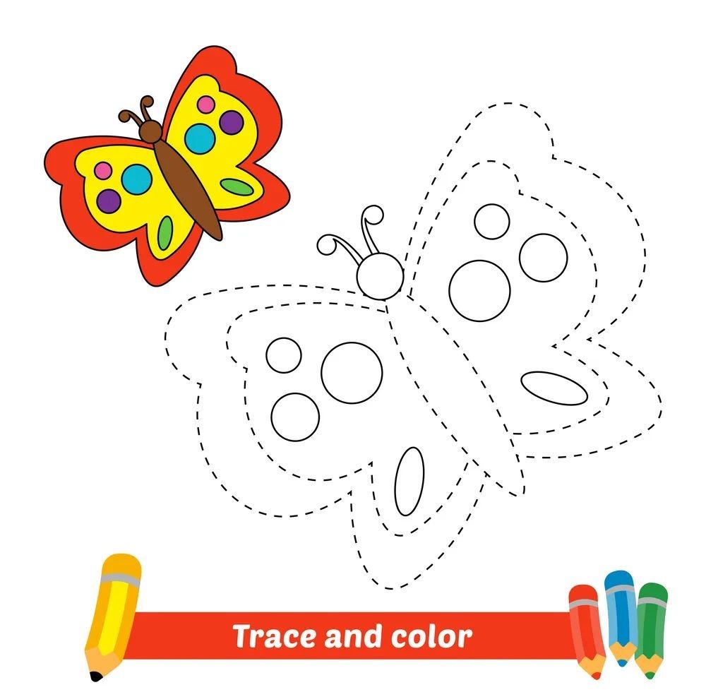 Çizgi Çalışmaları