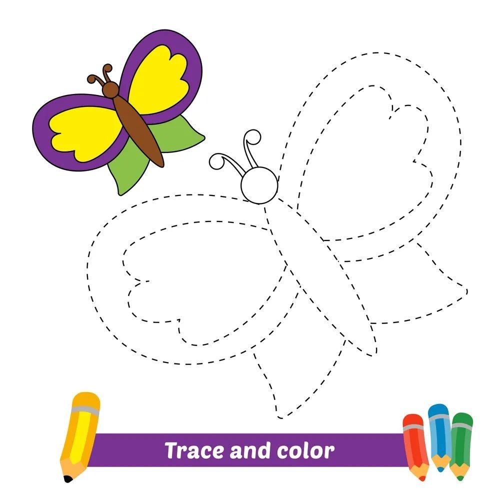 Çizgi Çalışmaları