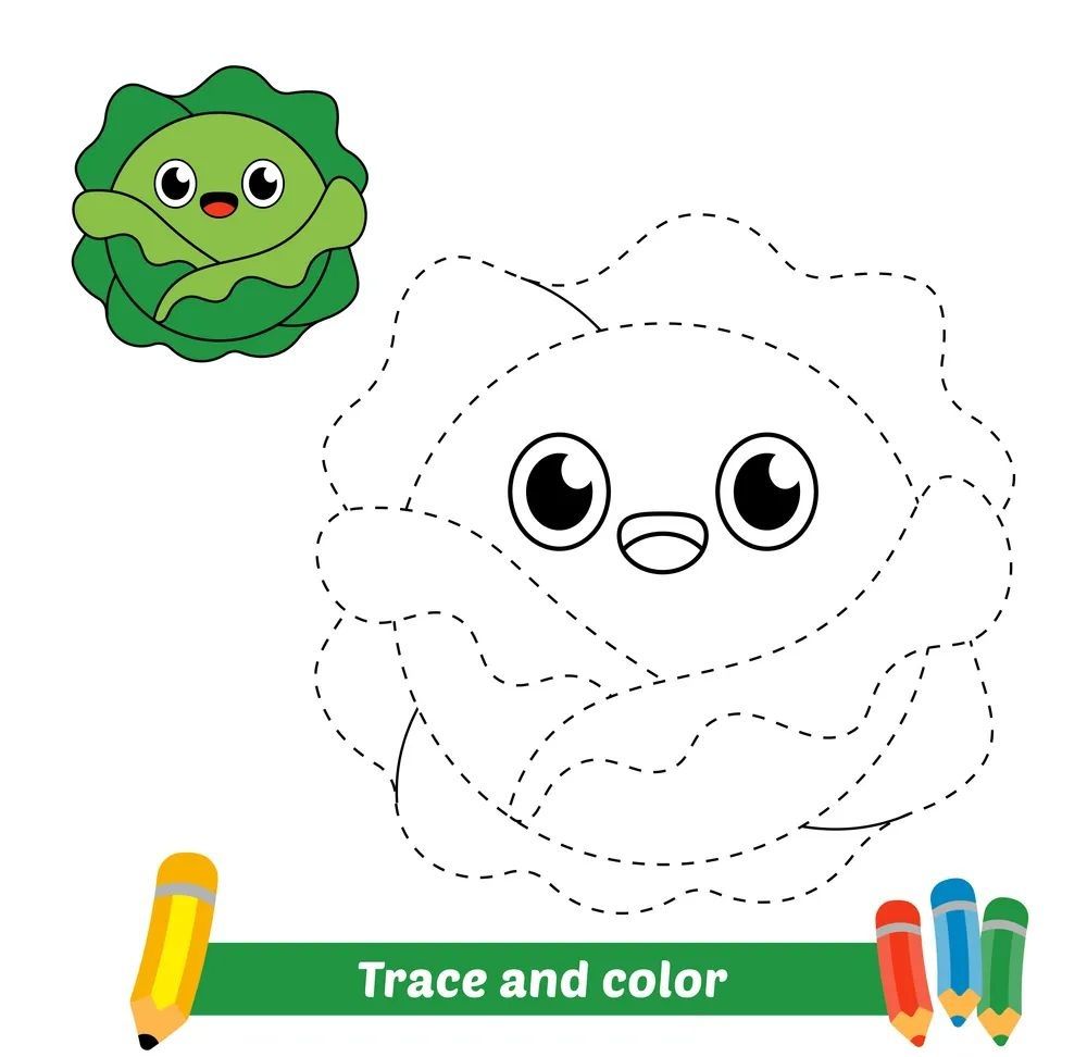 Çizgi Çalışmaları