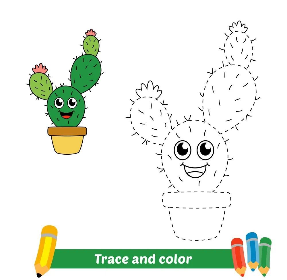 Çizgi Çalışmaları