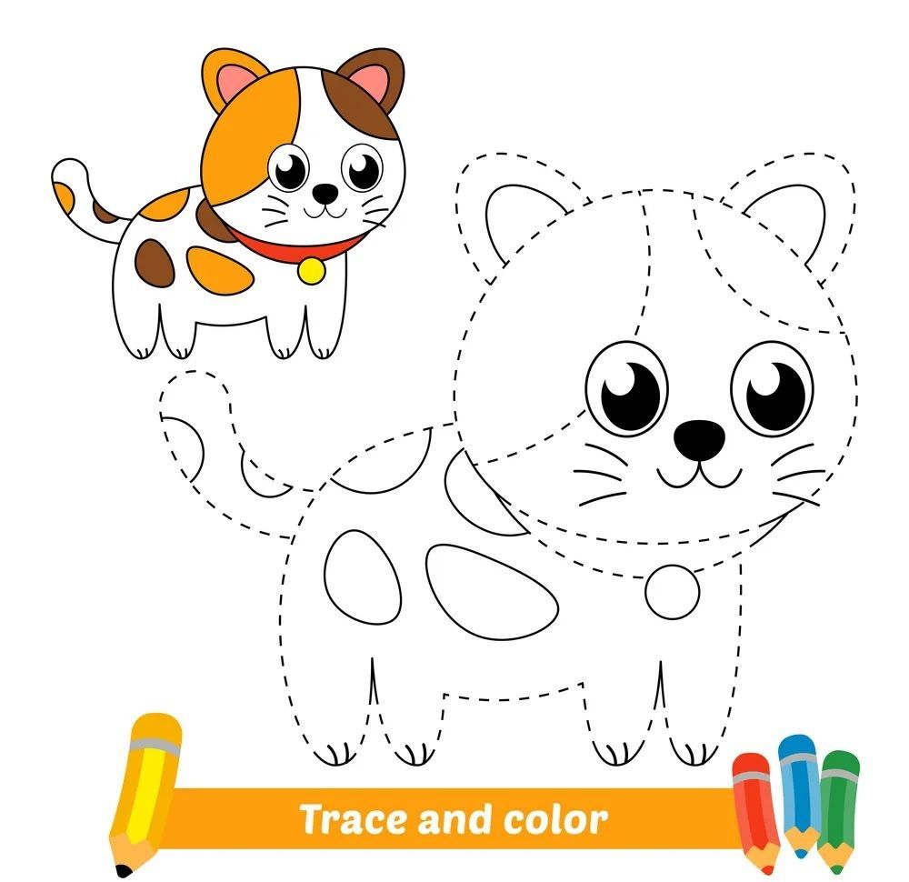 Çizgi Çalışmaları