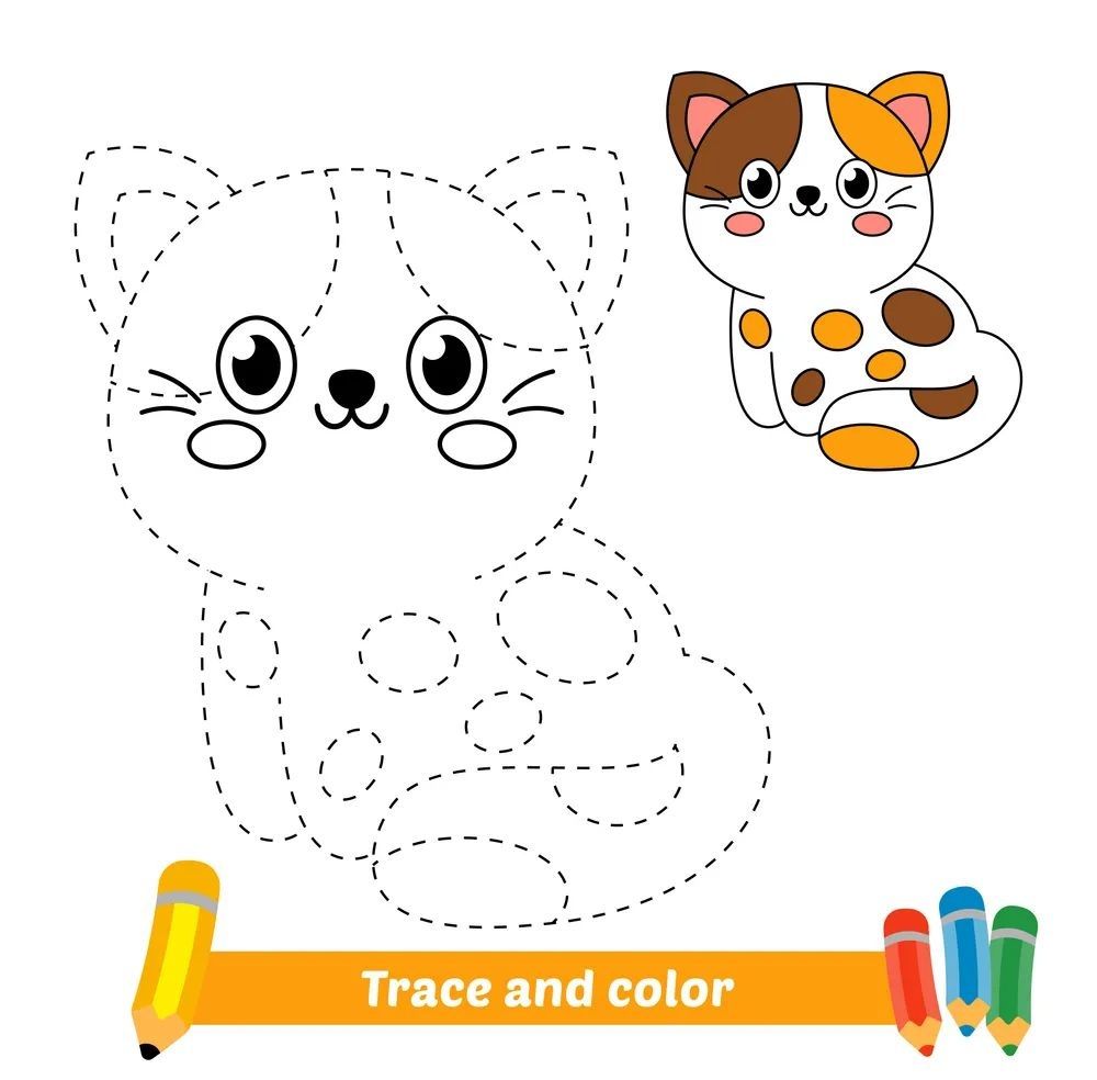 Çizgi Çalışmaları