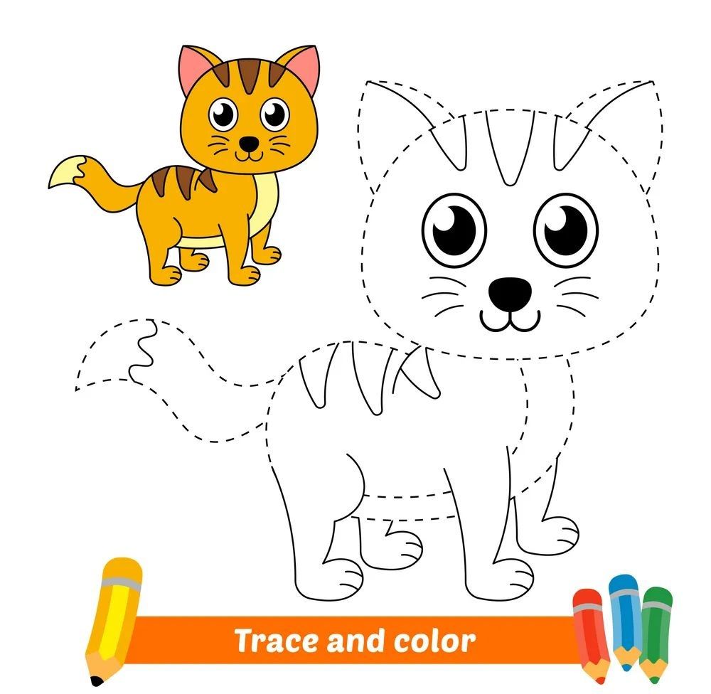 Çizgi Çalışmaları