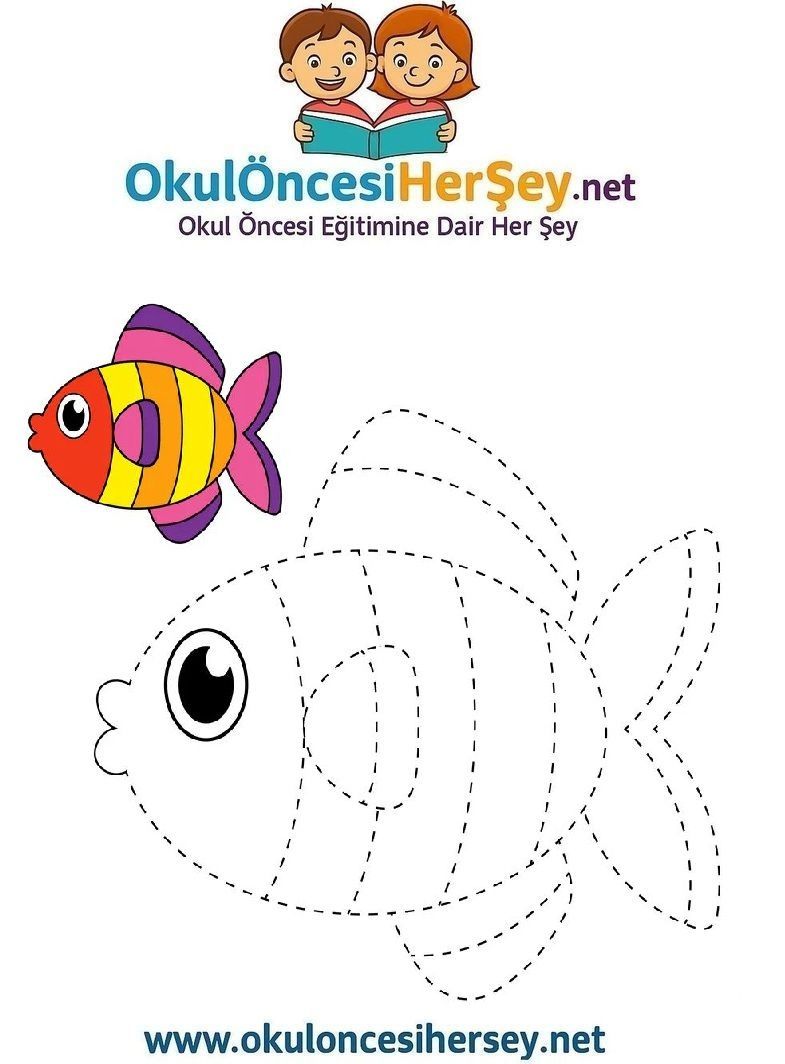 Çizgi Çalışmaları