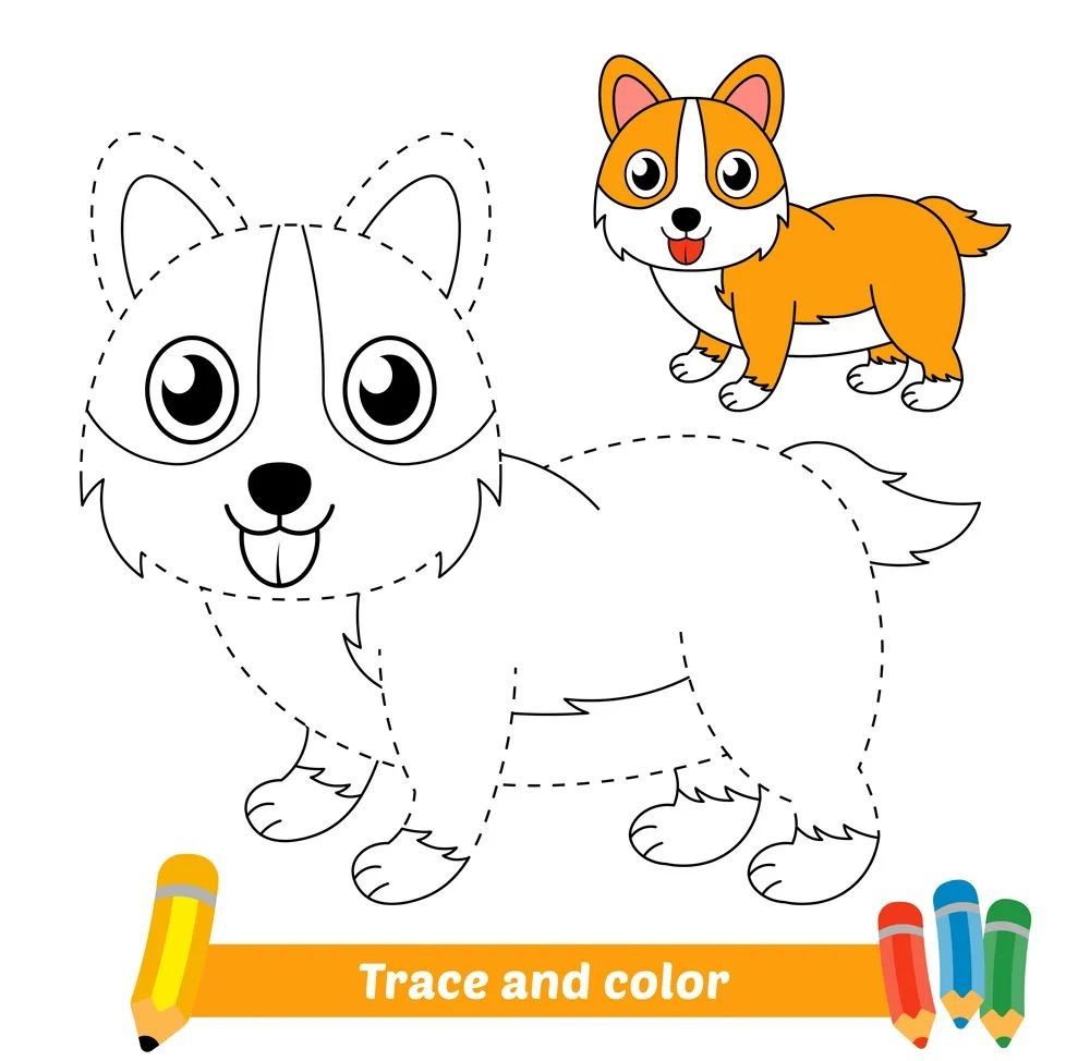 Çizgi Çalışmaları