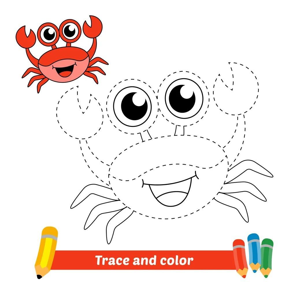 Çizgi Çalışmaları