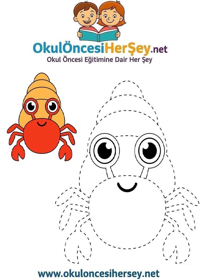 Çizgi Çalışmaları