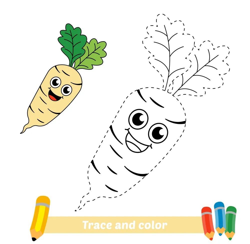 Çizgi Çalışmaları