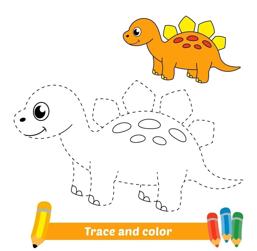 Çizgi Çalışmaları