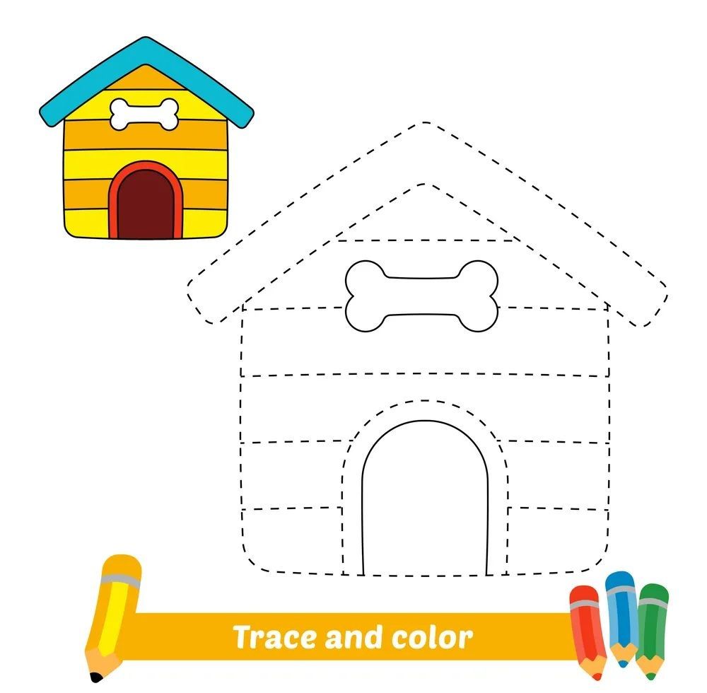 Çizgi Çalışmaları