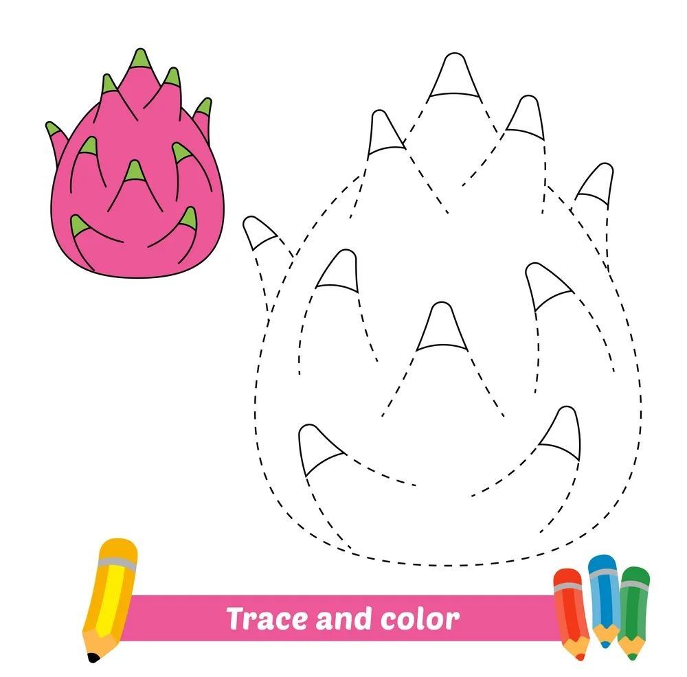 Çizgi Çalışmaları