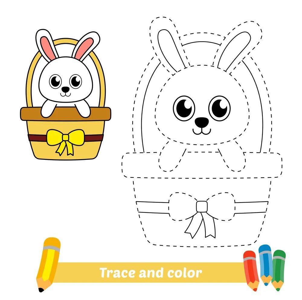 Çizgi Çalışmaları