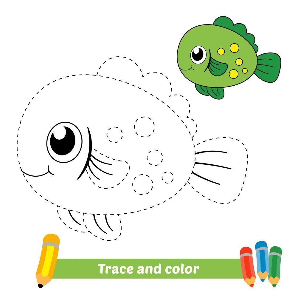 Çizgi Çalışmaları