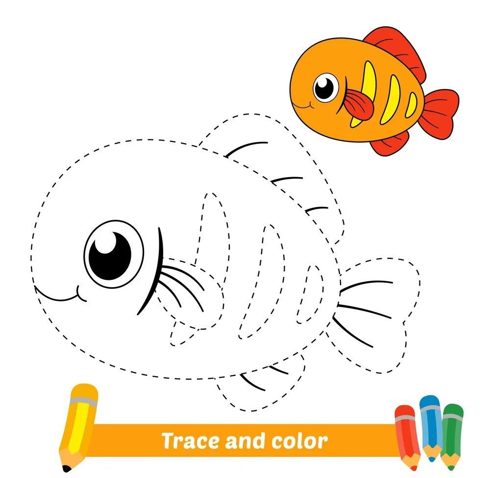 Çizgi Çalışmaları