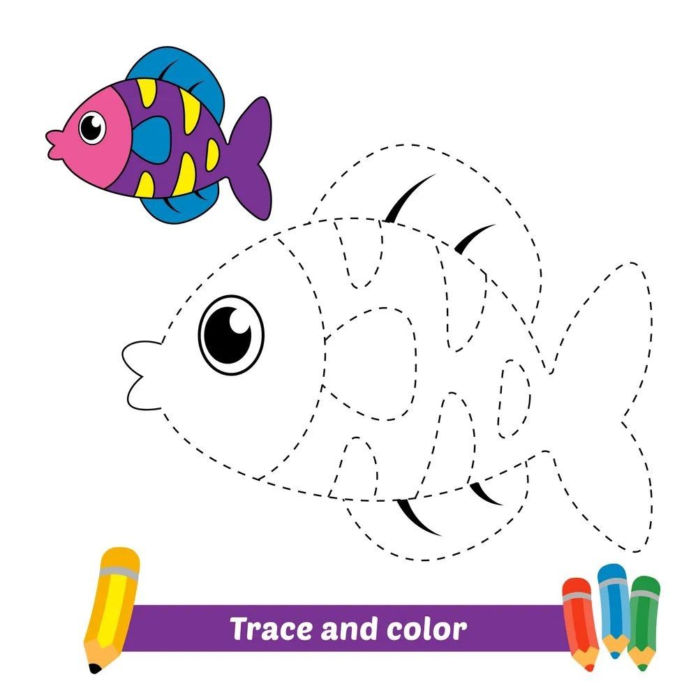 Çizgi Çalışmaları